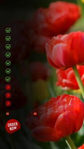 Paket Ret Acne Oily Theraskin Original