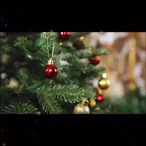 Momo 36pcs Packaging Balls Xmas Christmas Balls Assorted 3cm/4cm/5cm/6cm/7cm/8cm Balls for Christmas Tree Accessories Xmass Decoration Sale Xmas Balls Decoration Sale Xmas Tree Decor Christmas Decorations