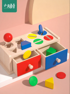 Montessori Color and Shape Recognition Early Educational Toy