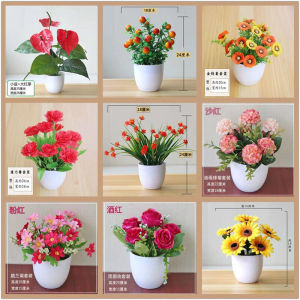Living Room Artificial Carnation Flowers Plastic Potted Plant Scenic Spot Set Decorative Fake Daisies Home Decoration