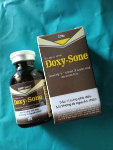 Doxy- Sone trị sưng phù đầu sốt bỏ ăn không rõ nguyên nhân tụ huyết trùng thương hàn chai 20 ml.