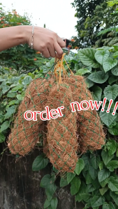 COCO WATTLES X COCO FIBER FOR SUPPORT ORCHIDS AND OTHER HANGING PLANTS