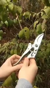 ที่ตัดกิ่งไม้ กรรไกรตัดกิ่งไม้ กรรไกรทำสวนทำจากเหล็ก SK5 ตัดกิ่งไม้ได้อย่างง่ายดาย ตัดกิ่งขนาด 22 mm กรรไกรสวนอเนกประสงค์ กรรไกรตัดแต่งกิ่ง เครื่องมือจัดทำสวน  กรรไกรตัดกิ่ง COD SK5 กรรไกรแต่งกิ่ง กรรไกรสแตนเลส กรรไกรสำหรับตัดแต่งกิ่งไม้ ดอกไม้ เครื่อ