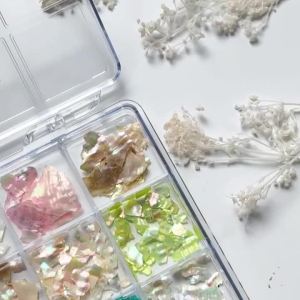 1Box 3D Iridescent Abalone Shell Nail Charms Irregular Aurora Seashell Slices Nails Art Decorations Summer Manicure Accessories
