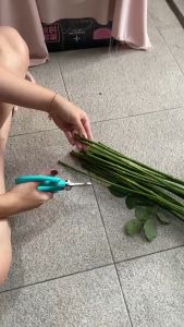 LAGI VIRAL !!! Gunting Bunga Florist / Gunting Batang Tanaman Gunting Korea