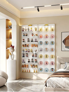 Wall Mounted Display Shelf Organizer