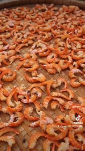 TÔM KHÔ LOẠI 1 Tôm biển thiên nhiên- VỰA KHÔ NÀNG TIÊN