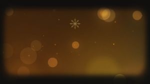 IBON Payment Voucher 136 mm x 188mm (50 sheets) [10 Books]