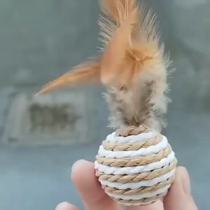Pet Cat Dog Toy Feather Sisal Rope Weave Interactive Rattle Ball