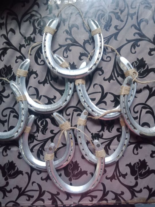 LUCKY CHARM HORSE SHOE Used with PANABIT(BLESSED AND CLEANSED | Lazada PH