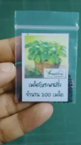 500 เมล็ด โหระพาฝรั่ง อิตาเลี่ยนเบซิล โหระพาใบใหญ่ โหระพาอิตาเลี่ยน เมล็ดโหระพาฝรั่ง เมล็ดอิตาเลี่ยนเบซิล เมล็ดโหระพาใบใหญ่ เมล็ดโหระพาอิตาเลี่ยน