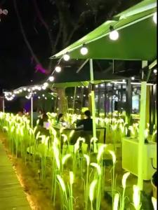 JUYU | Landscape Lighting Grass Plug Lights