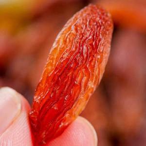 Premium Large Raisins Exempt from Washing