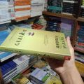 Novel Guru Aini-Andrea H.. 
