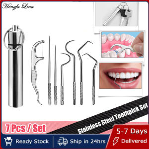 Hengfa Lina Stainless Steel Toothpick Set Tooth Flossing Reusable Toothpicks Portable Toothpick Floss Teeth Cleaner Oral Cleaning