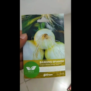 Benih Biji Bibit Bawang Spanish Onion White Sweet Spanish Mix Garden Seed - 1 Pcs