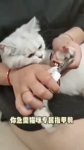 Gunting Kuku Pemotong Kuku Anjing Kucing Pet Nail Cutter Clipper Dogs Cats Sharp Pet Claw Cutter Trimmer Scissor 宠物指甲修剪器