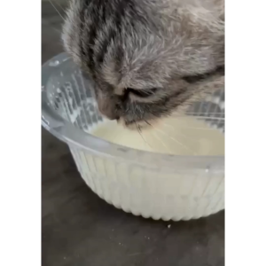 KPSPro Kitten Milk Replacer / Cat Milk Powder / Milk for Cats & Kittens