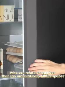 Bilayer Fridge Egg Storage Box Automatic Rolling Eggs Holder Rack Ladder Style Refrigerator Eggs Dispenser Egg Organizer Holder