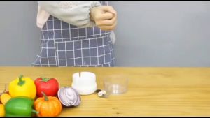 Blender Tangan Mini / Speedy Chopper Mini