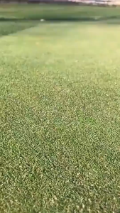 หมุดยึด U 20cm + แผ่นยางพลาสติก ผลิตจากเหล็กแข็งแรง ยึดผ้าคลุมดินได้ดี 50 ชิ้น