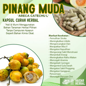 Kapsul PINANG MUDA 100 Kapsul Herbal Curah | Herbal Merapatkan Miss V Ampuh Mengobati Keputihan Gatal Bau Becek Nyeri Haid/Menstruasi