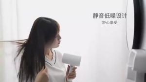 Hair Dryer HD-1600WB Wall Mount Hair Dryer Blower Hair Dryer with Holder Bathroom Accessories