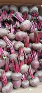 buah bit beetroot organik fresh 5 kg