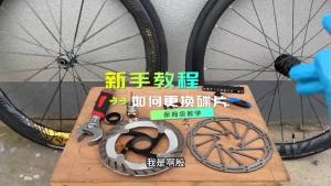 SHIMANO | SHIMANO RT66 Disc Rotor SLX SM-RT66 160MM 180MM 203MM Disc Brake Rotor 6-Bolt SLX M670 Series