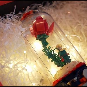 [Pantasy Little Prince Building Blocks] Mini Little Prince Classic Series Puzzle Boys and Girls Build Ornament Building Blocks