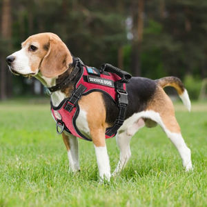 Mojioo เสื้อกั๊กสายจูงสุนัขสะท้อนแสงไม่ดึงอานสัตว์เลี้ยงพร้อมหัวเข็มขัดและเข็มขัดพยุงหลัง