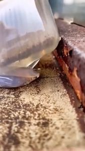 Keo dán sửa chữa vết nứt trên bề mặt trong suốt chống thấm nước Redkeev kèm cọ cao câp