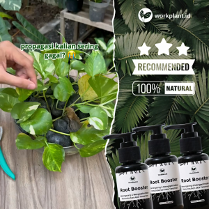 Root Booster Nutrisi Akar Tanaman Hias 60ml