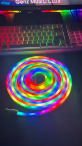 Dây đèn NEON FLEX ARGB chạy đuổi trang trí phòng ngủ decor phòng khách - Tặng kẹp dán tường