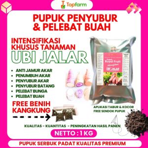 Pupuk Untuk Umbi Jalar / Pupuk Pembesar Khusus Umbi Jalar / Pupuk Pembesar Umbi Talas / Pupuk Cair Pembesar Ubi Jalar / Pupuk Pembesar Buah Ubi Jalar