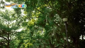 DERMATIX ULTRA KIDS (5g) - Gel làm mờ sẹo và làm phẳng sẹo lồi sẹo thâm cho bé.