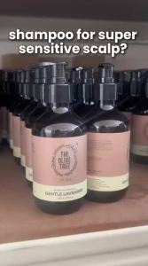 The Olive Tree Set C #3 - Sensitive Scalp & Kids Set 250ml ( Gentle Lavender Shampoo + Conditioner ) For Soothing & Nourish