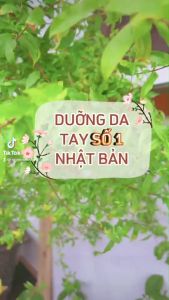 Kem Dưỡng Da Tay CATHY BEAUXARTS Manuan Nhật Bản - virgot.store