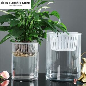 Jiaxu | Hydroponic Use Vase Transparent Straight Cylinder