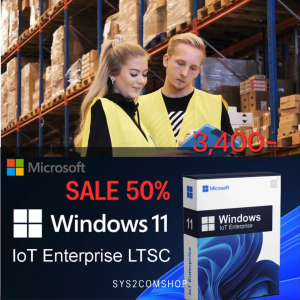 windows 11 iot enterprise เครื่องมือเพิ่มประสิทธิภาพ