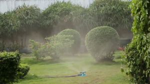 [HCM]Vòi phun nước tưới cây 3 trục xoay 360° (Hình cánh bướm)