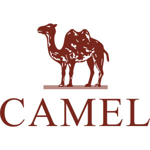 CAMEL | Breathable Comfort Hiking Shoes