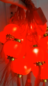 Dây Đèn Lồng Đỏ Trang Trí Tết 16 Bóng Led - Dây Dài 5M (6x6cm)