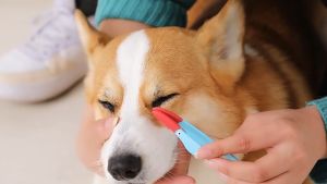 Silikon Sikat Sisir Pembersih Mata Kucing Anjing Pet Eye Cleaning Soft Brush