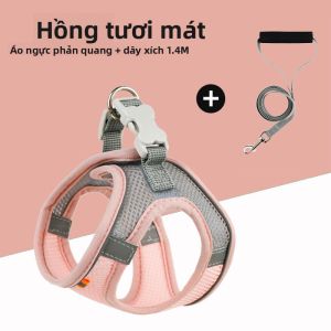 VOA | Dây Dắt Chống Trốn Cho Mèo Chó Nhỏ và Thỏ