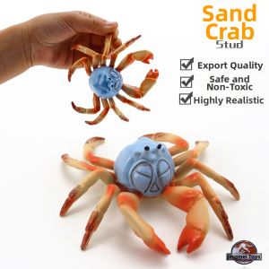 Realistic Sea Animal Toy Models