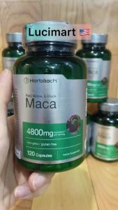 Viên uống tăng cường sinh lý nam và nữ Maca 4800mg Horbaach hũ 120 viên [Hàng Mỹ]