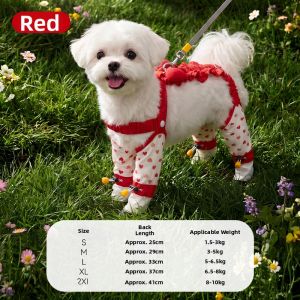 hipidog | Lightweight Anti-dirt Dog Coat for Small Dogs