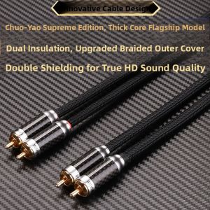 Choseal | 2 RCA Audio Cable