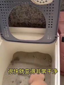 Sekop Serokan Serok/Pasir Stainless Steel/Kucing Serokan Pasir/Sekop Serokan Pasir Stainless/Litter Kucing Anjing Kelinci